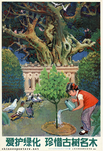 Cherish greening, treasure old and famous trees, 1983
