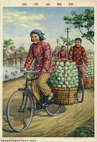 Vegetable transport team