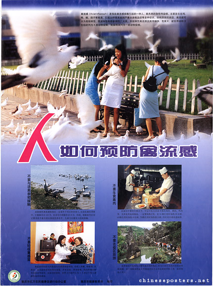 How to prevent avian flu? 2004