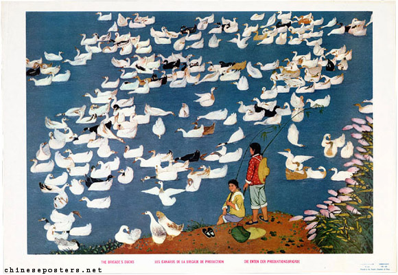 Li Zhenhua, The brigade's ducks, 1973
