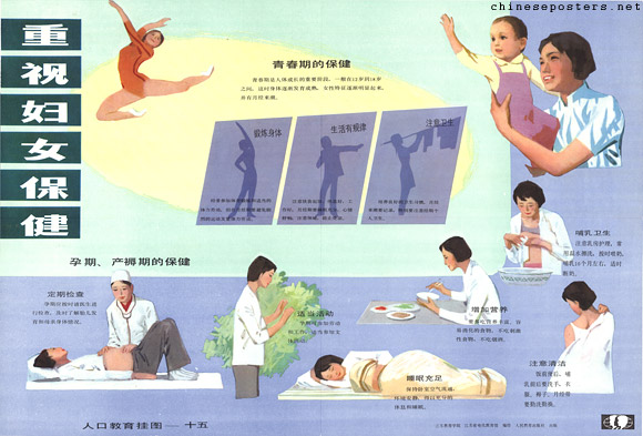 Population education hanging charts