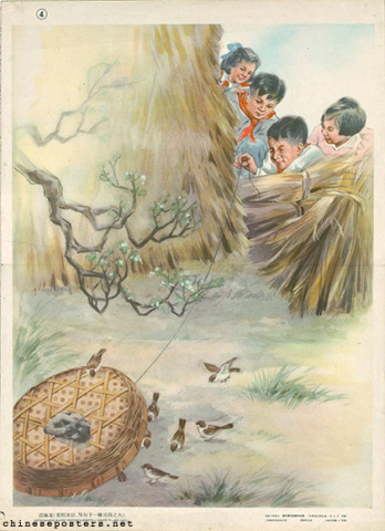 Catching sparrows