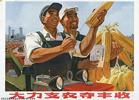 Vigorously support agriculture to reap a bumper harvest