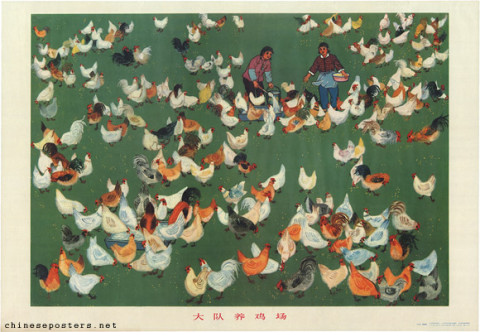 Brigade chicken farm