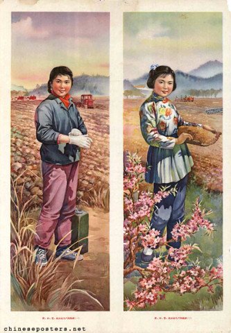 Plowing, planting, managing and collecting: four scrolls on agricultural production