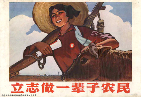 Determined to be a peasant for life