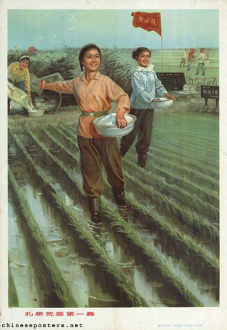 Our first spring in the wilderness