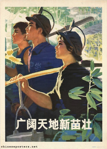 The vast world strengthens new seedlings