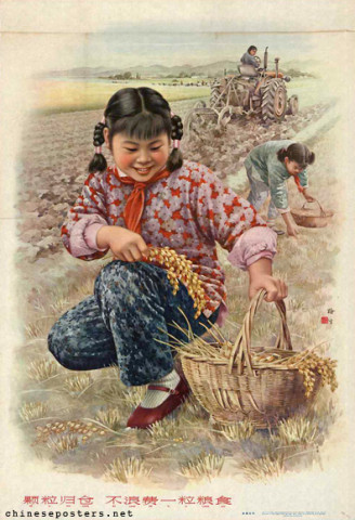 Every grain to the granary, don't waste a single grain