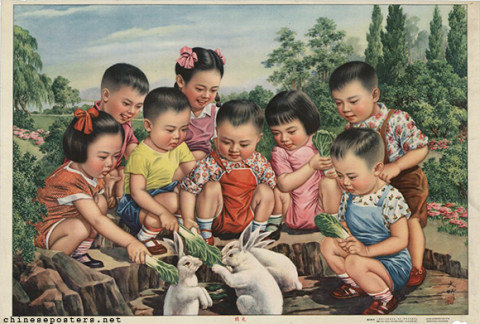 Feeding rabbits