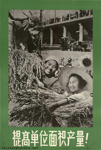 Increase the yield of your work unit's area