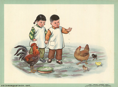Big chicken and small chicken come to eat rice