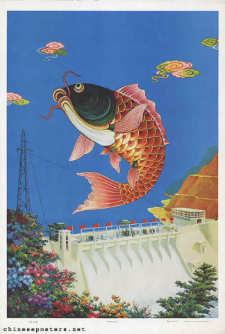 Fish leaping in the reservoir