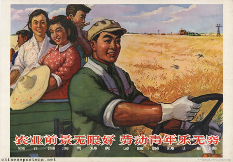 The prospects for agriculture are infinitely good, the laboring young people are infinitely happy