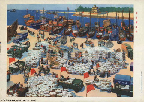 Busy with a bumper harvest in the fishing port