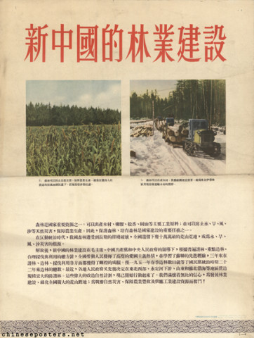 Forestry construction of New China