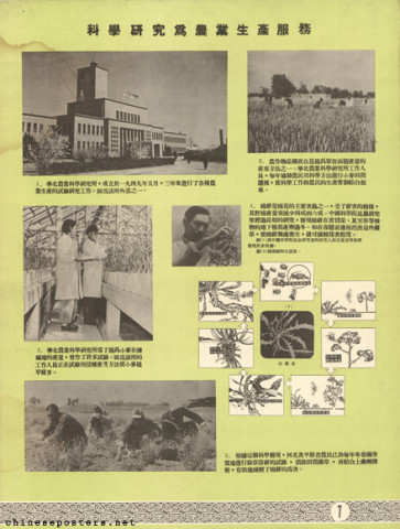 Scientific and research work of New China