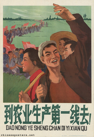 Go to the front line of agricultural production!