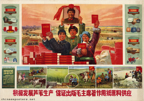 Enthusiastically develop the production of reed to safeguard the supply of the raw materials needed to publish the writings of Chairman Mao