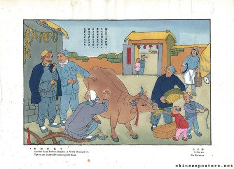 Another Land Reform Benefit: A Newly Obtained Ox