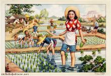 Xin Liliang - Rural scenery