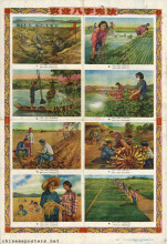 Eight-Point Charter of Agriculture