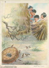 Catching sparrows