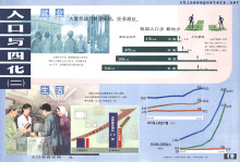 Population education hanging charts