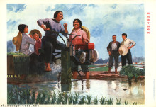 I ride the Iron Bull to transplant spring rice