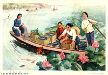 An abundant harvest year after year
