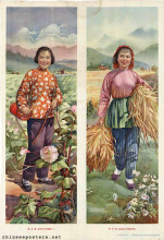 Plowing, planting, managing and collecting: four scrolls on agricultural production