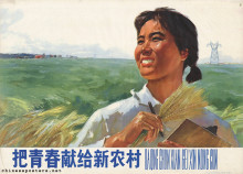 Dedicate your youth to the new countryside