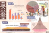 Population education hanging charts