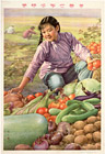 The vegetables are green, the cucumbers plumb, the yield is abundant, 1959